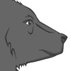 Preview for Lyra, Image 005. A black bear.